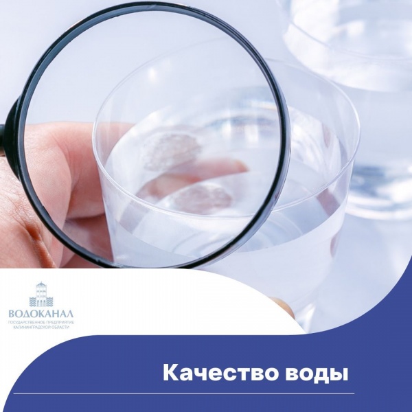 Информация о качестве воды в г. Калининграде в январе 2022 года